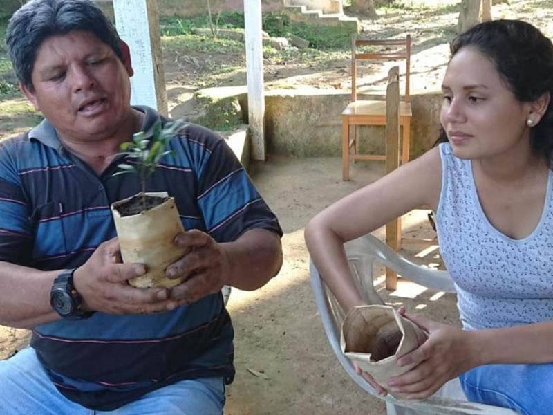 Fabrican bolsas de plÃ¡tano para luchar contra la contaminaciÃ³n del plÃ¡stico